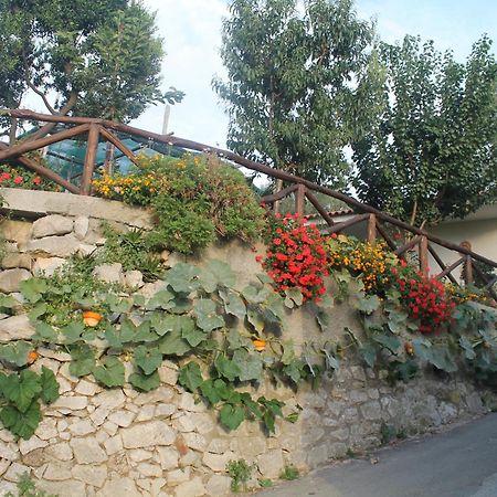 Casa Vacanze Chery Σορέντο Εξωτερικό φωτογραφία