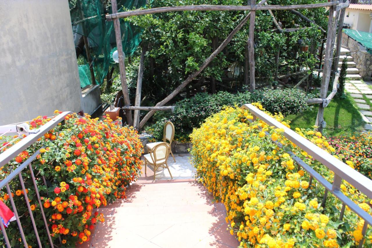 Casa Vacanze Chery Σορέντο Εξωτερικό φωτογραφία