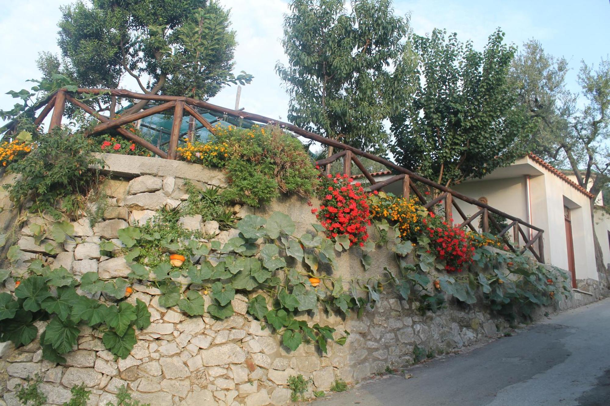 Casa Vacanze Chery Σορέντο Εξωτερικό φωτογραφία
